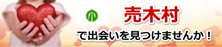 売木村